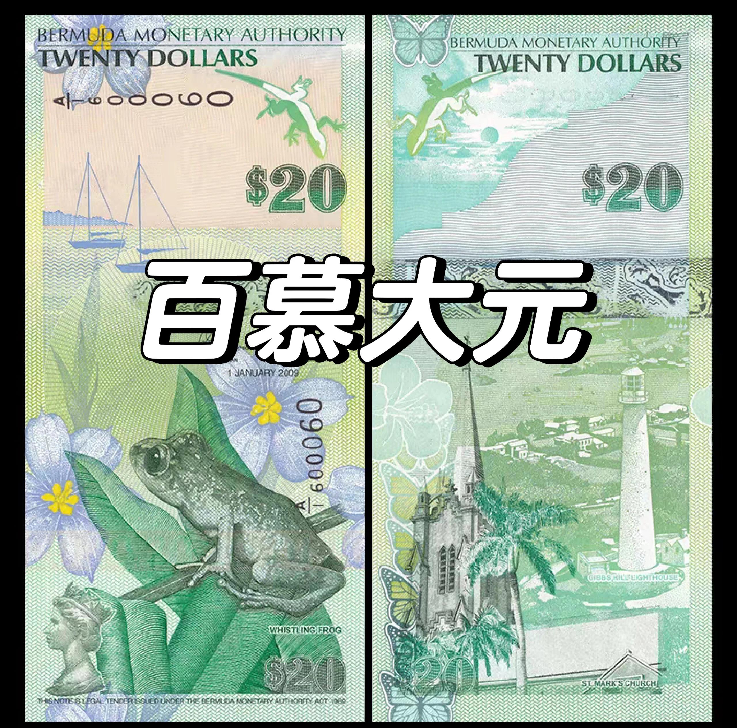 货币知识(货币知识知多少为主题的手抄报)
